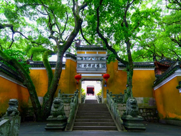 普陀山5