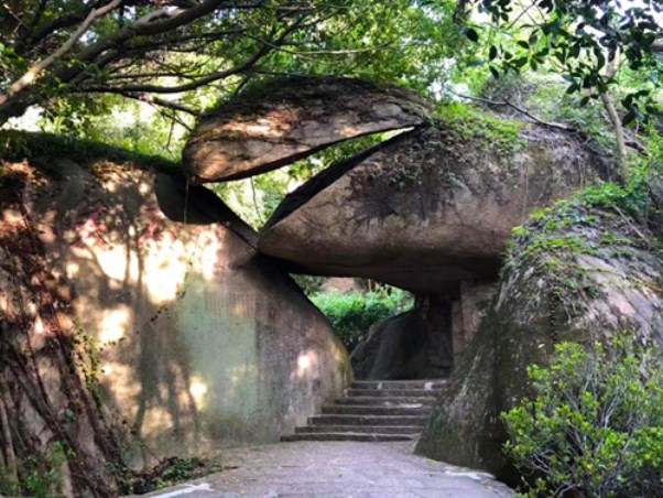 厦门植物园1
