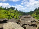 长汀汀州古城、丁屋岭动车二日游